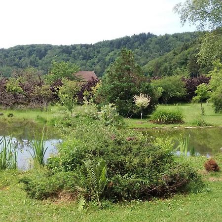 Bed and Breakfast Pied Des Milles Etang - Les Capucins Faucogney-et-la-Mer Zewnętrze zdjęcie