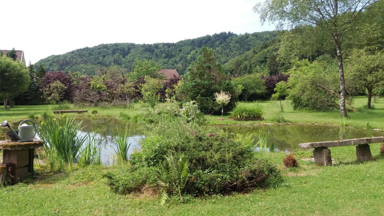Bed and Breakfast Pied Des Milles Etang - Les Capucins Faucogney-et-la-Mer Zewnętrze zdjęcie